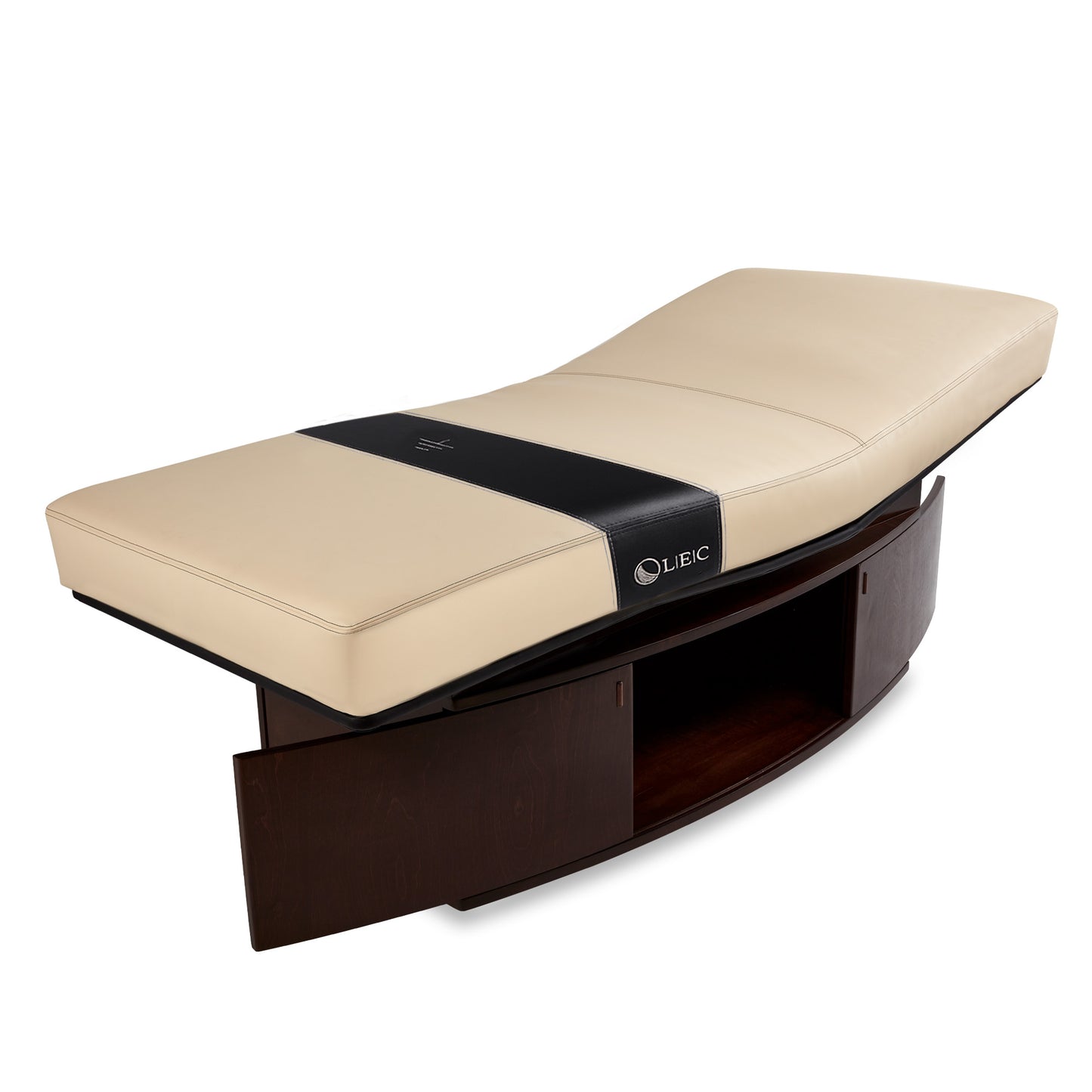 Living Earth Crafts Insignia Horizon Multi-Purpose Treatment Table with Replaceable Mattress