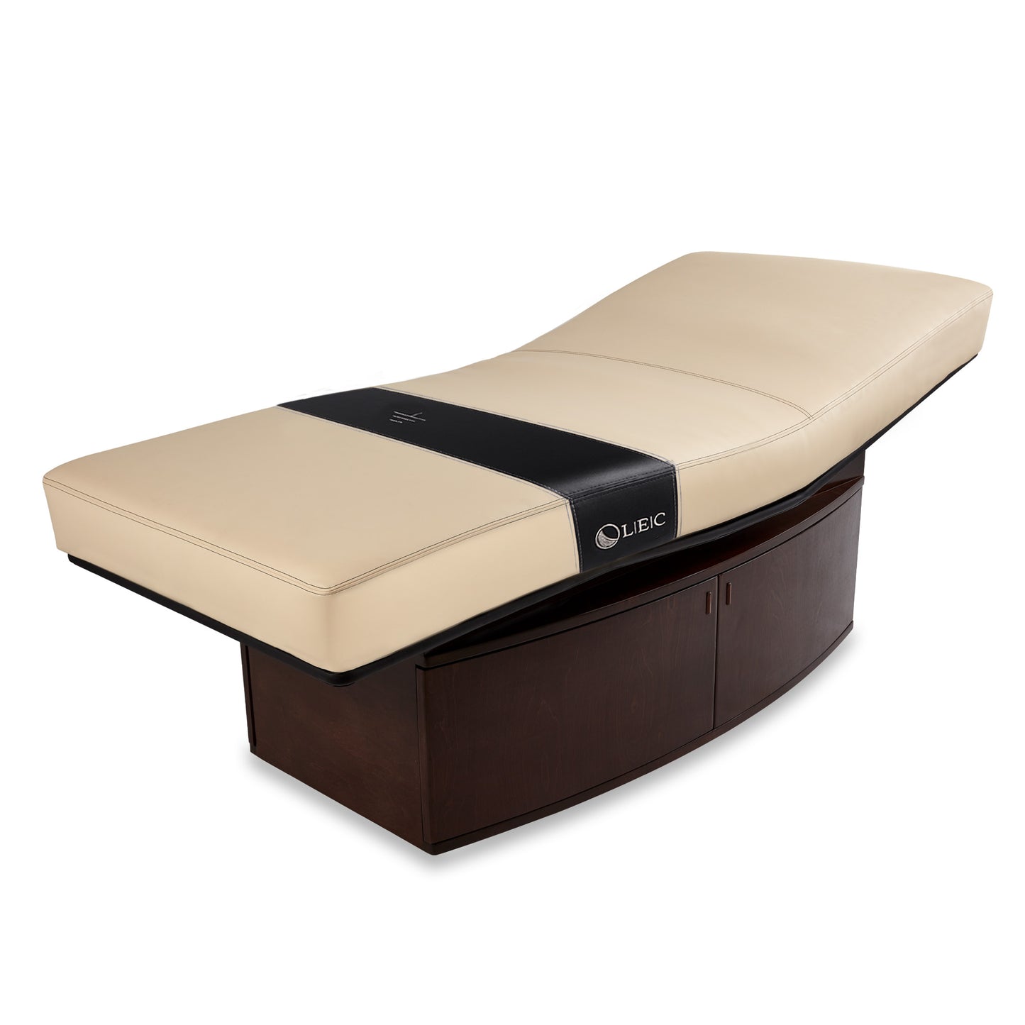 Living Earth Crafts Insignia Horizon Multi-Purpose Treatment Table with Replaceable Mattress