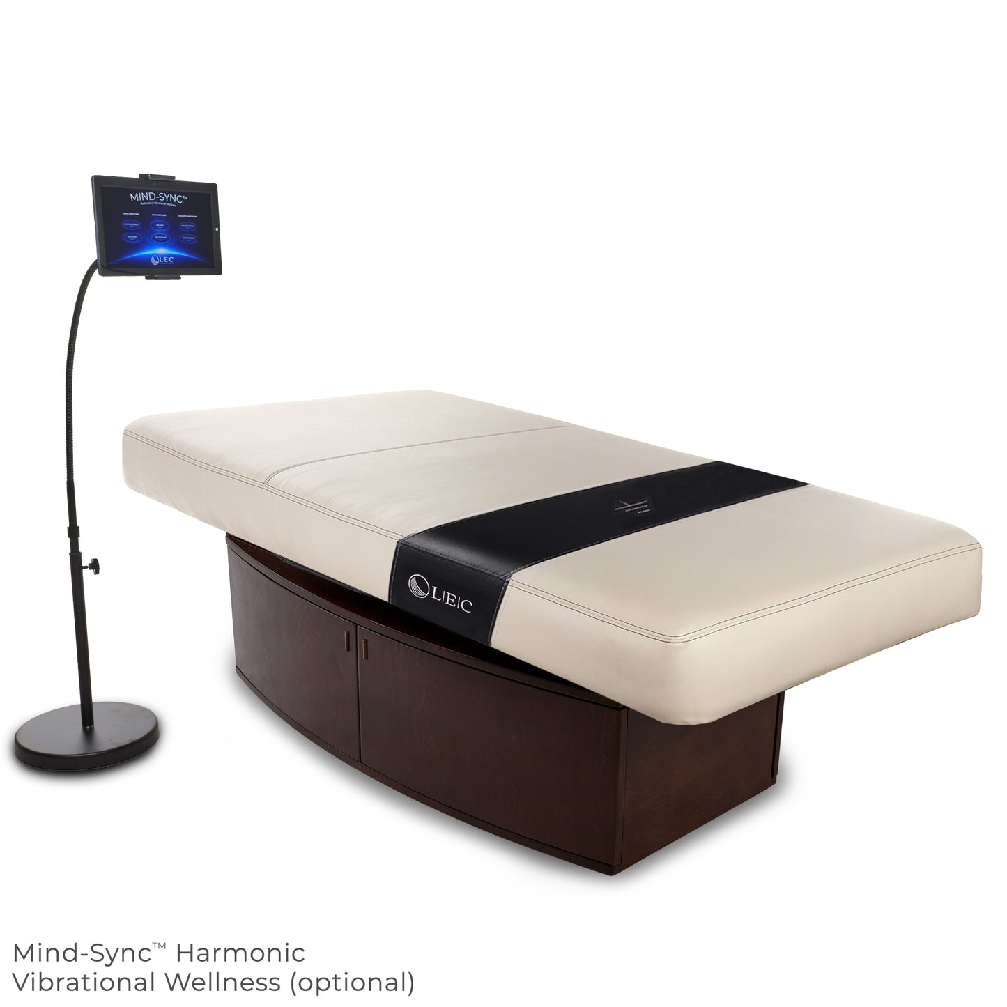 Living Earth Crafts Insignia Horizon Multi-Purpose Treatment Table with Replaceable Mattress